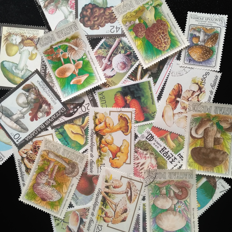 100 Different Original Mushroo - Collectible Vintage Postage Stamps บทวิจารณ์และราคา