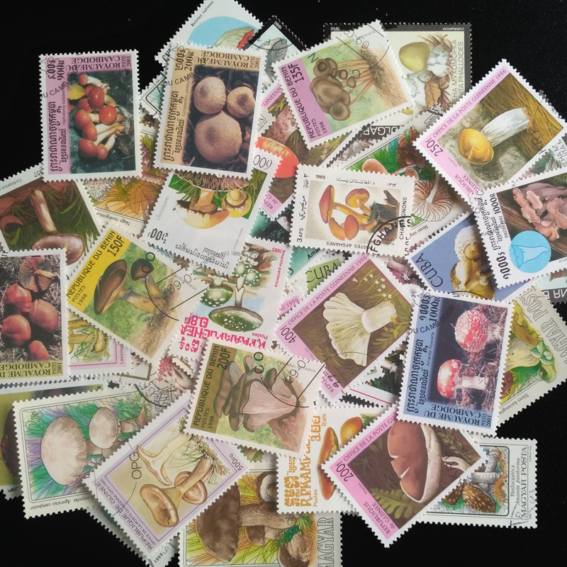 100 Different Original Mushroo - Collectible Vintage Postage Stamps บทวิจารณ์และราคา