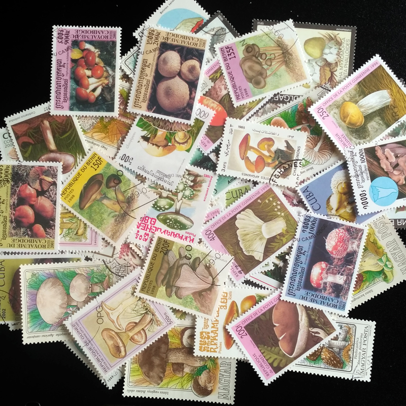 100 Different Original Mushroo - Collectible Vintage Postage Stamps บทวิจารณ์และราคา