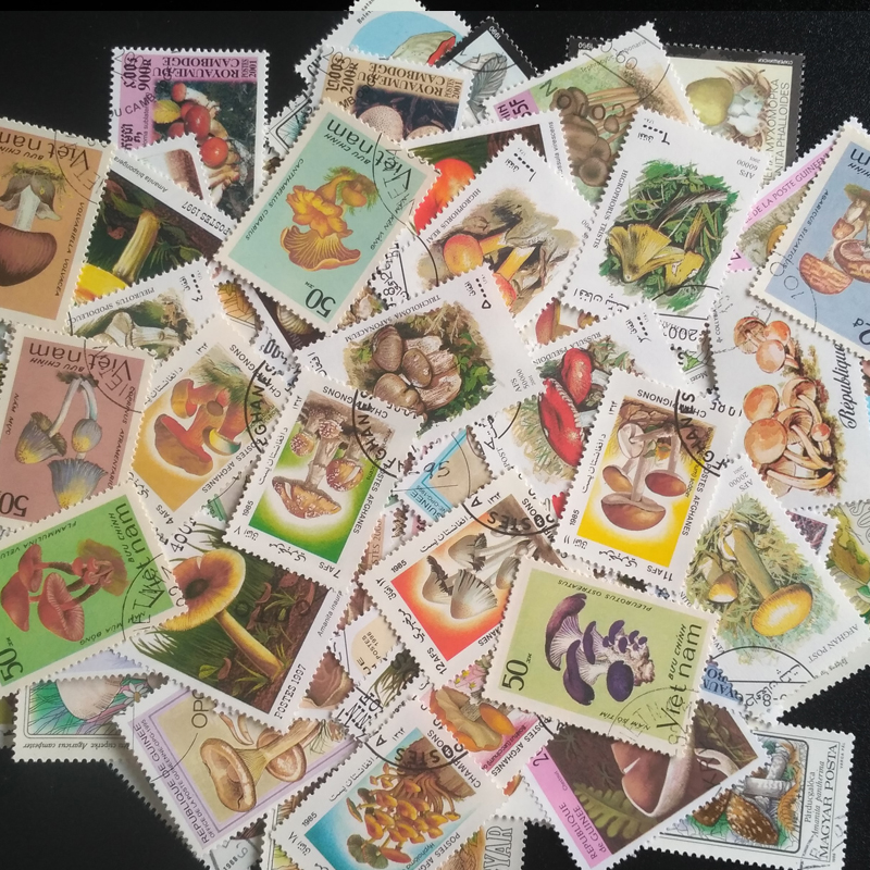 100 Different Original Mushroo - Collectible Vintage Postage Stamps บทวิจารณ์และราคา